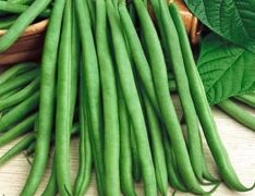Topcrop Green Pod Bush Bean (Treated Seed)