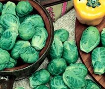 Long Island Imp. Brussels Sprouts (Not Treated Seed)