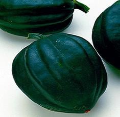 Table Ace Squash (Farmore)