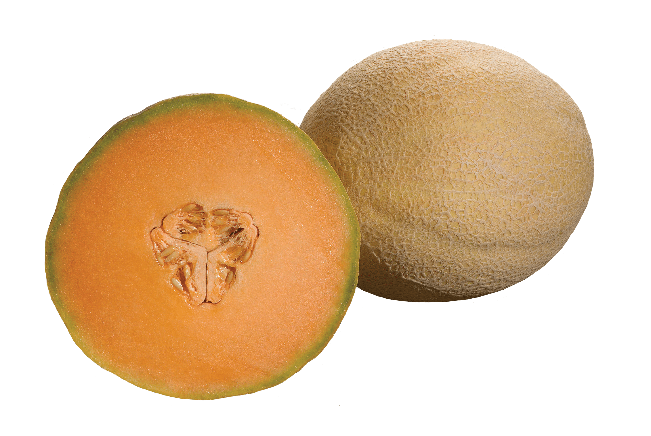 Honey Dew Melon Seed - Orange Flesh