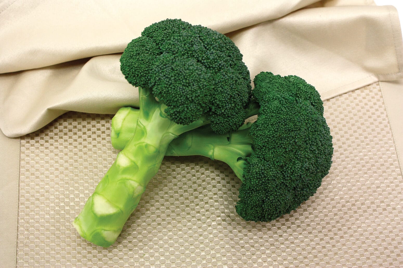 Green Magic Broccoli (Not Treated) Seedway