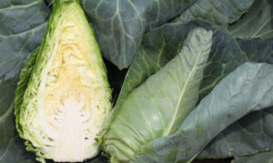Caraflex Cabbage (Organic)