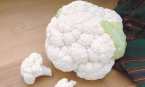 Symphony Cauliflower (Treated Seed)
