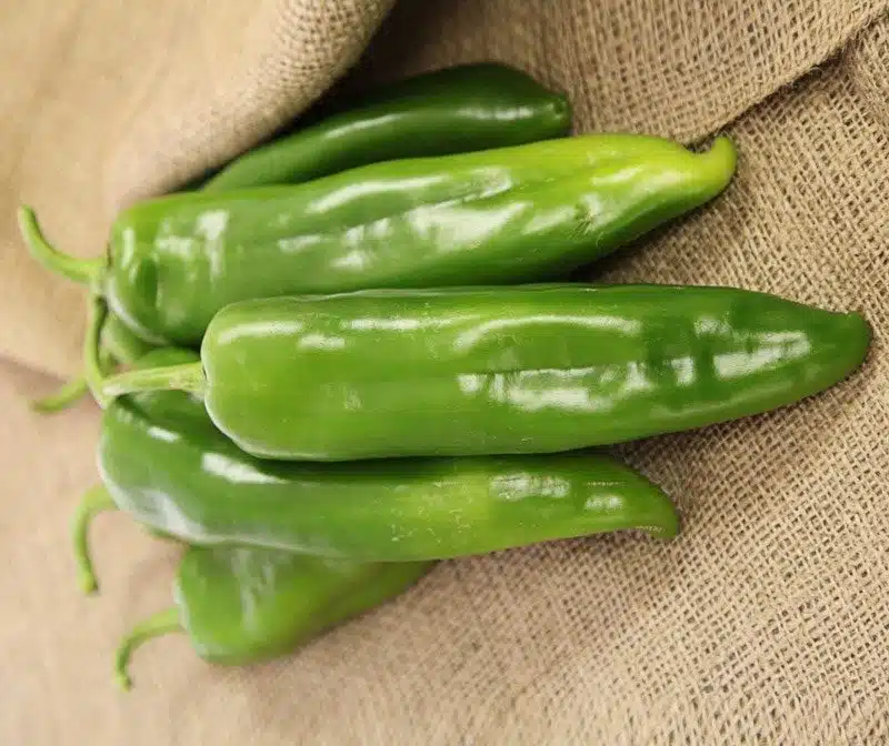 Charger Anaheim Pepper Seed) | Seedway