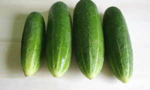 Straight 8 Cucumber (Treated Seeds)