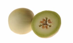 Dewlightful Honeydew (Treated Seed)