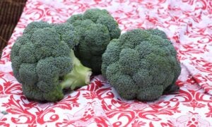 Emerald Star Broccoli (Not Treated)