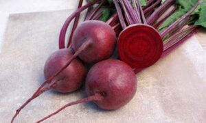 Eagle Beet (Treated Seed)