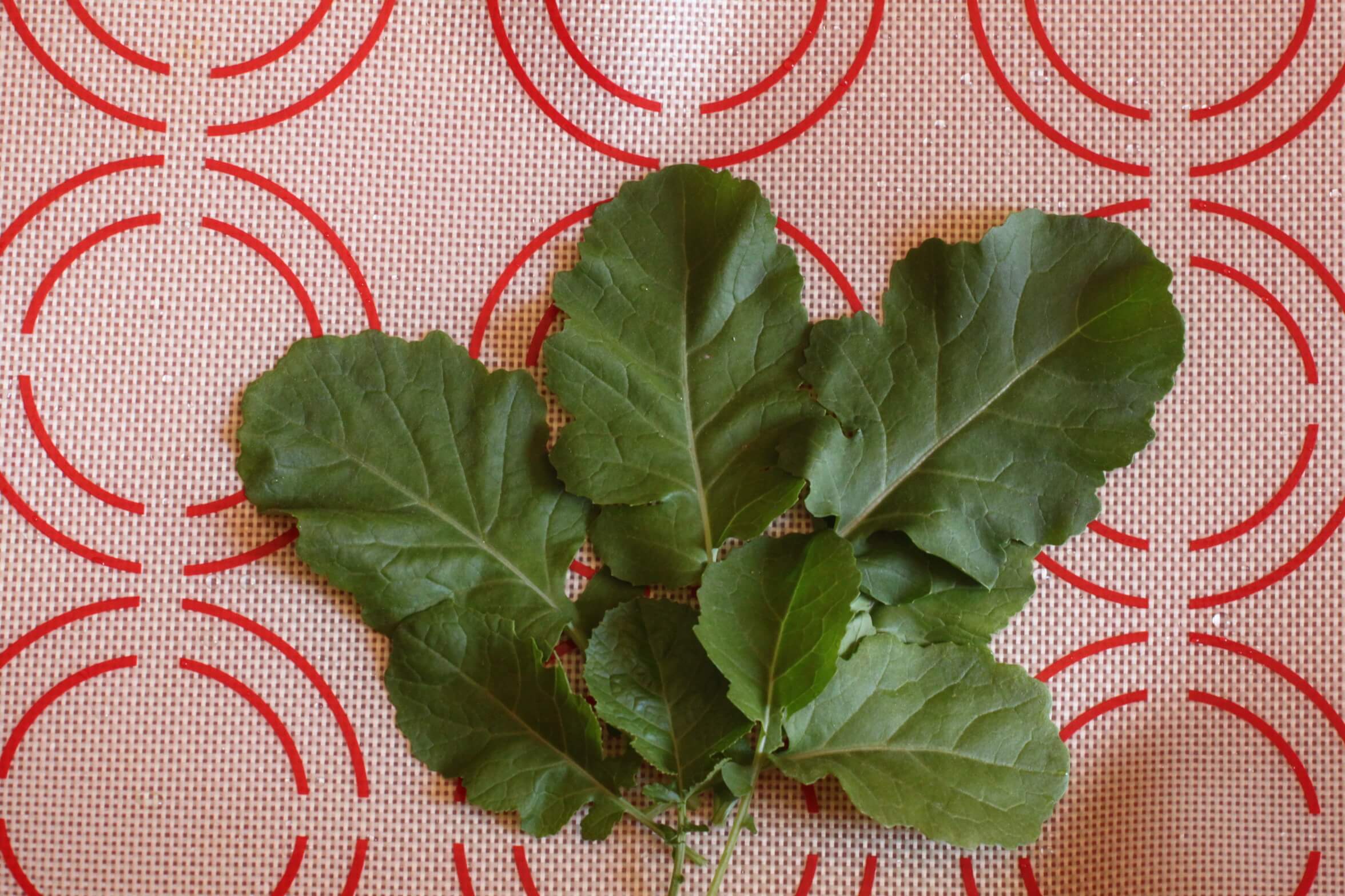 Ethiopian / Highland Kale (Not Treated)
