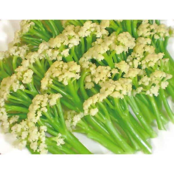 Fioretto (Not Treated Seeds) Seedway