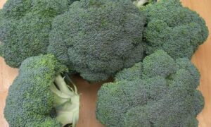 Green Gold Broccoli (Treated Seed)