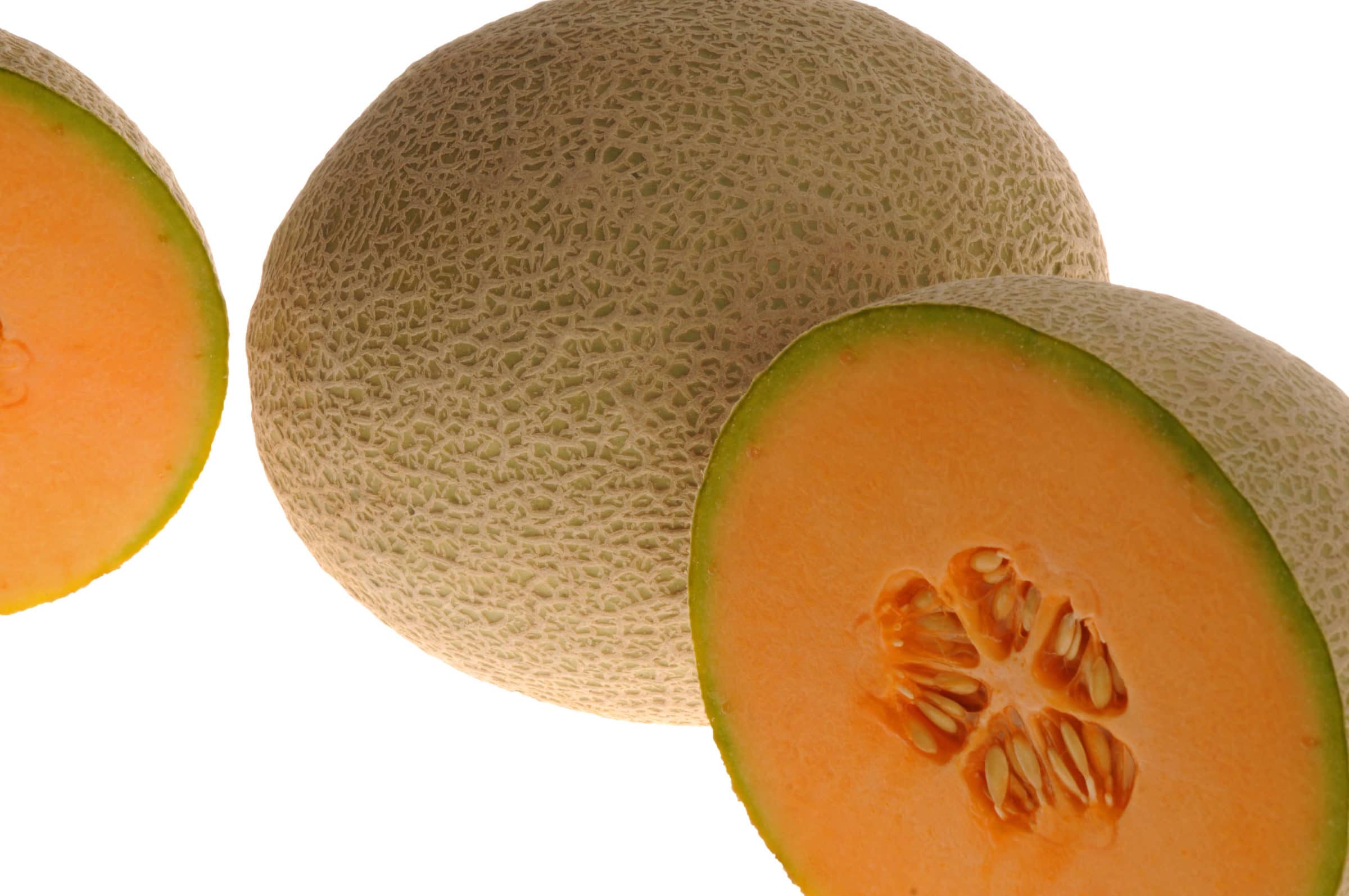 Home Run Cantaloupe (Treated Seed)