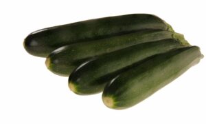 Jackpot Zucchini (Treated Seed)