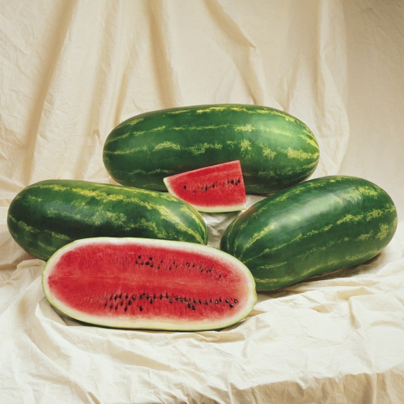 Jamboree Watermelon (Farmore) Seedway