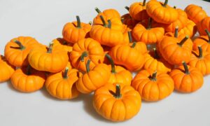 Jill Be Little Pumpkin (Farmore)