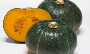 Marron D'or Kabocha Squash (Treated Seed)
