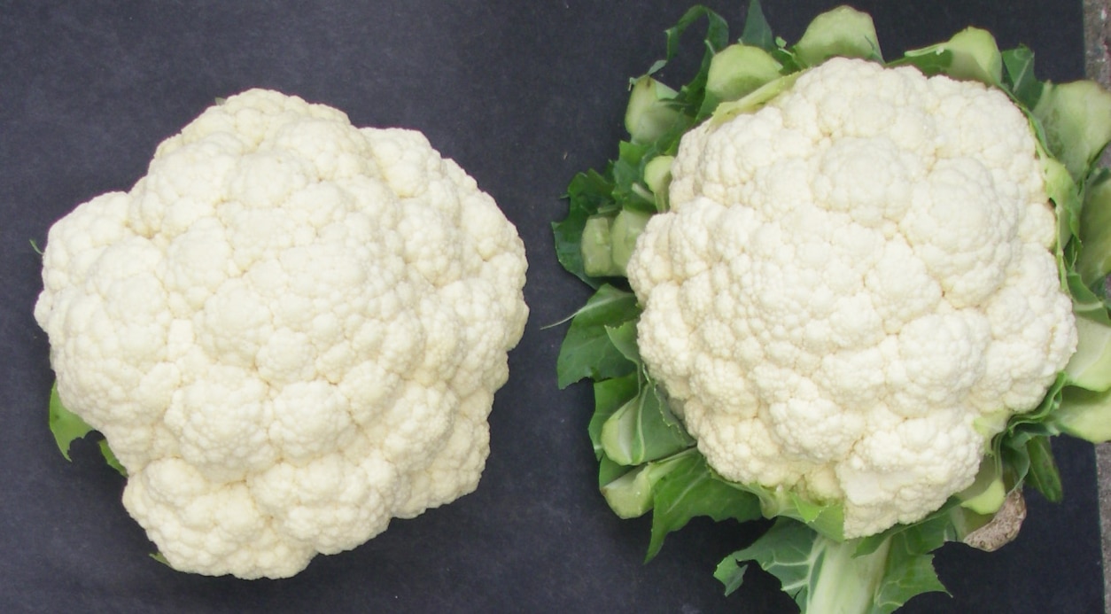 Minuteman Cauliflower (Treated Seed)