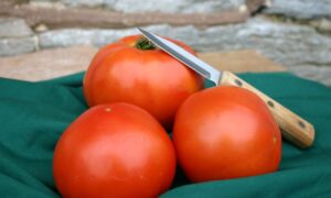 Mountain Fresh Plus Tomato (Not Treated)