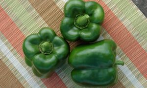 PS 0997-9325 Bell Pepper (Treated Seed)