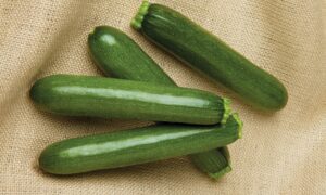 Payload Zucchini (Farmore)