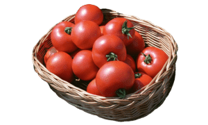 Polbig Tomato (Pelleted)