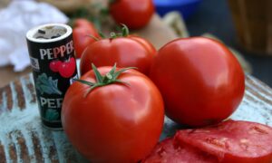 Red Rave Tomato (Pelleted)