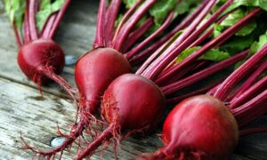 Red Ace Beet (Not Treated)