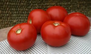 Rocky Top Tomato (Pelleted)