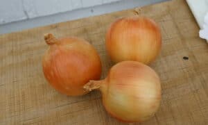 Safrane Onion (Not Treated)