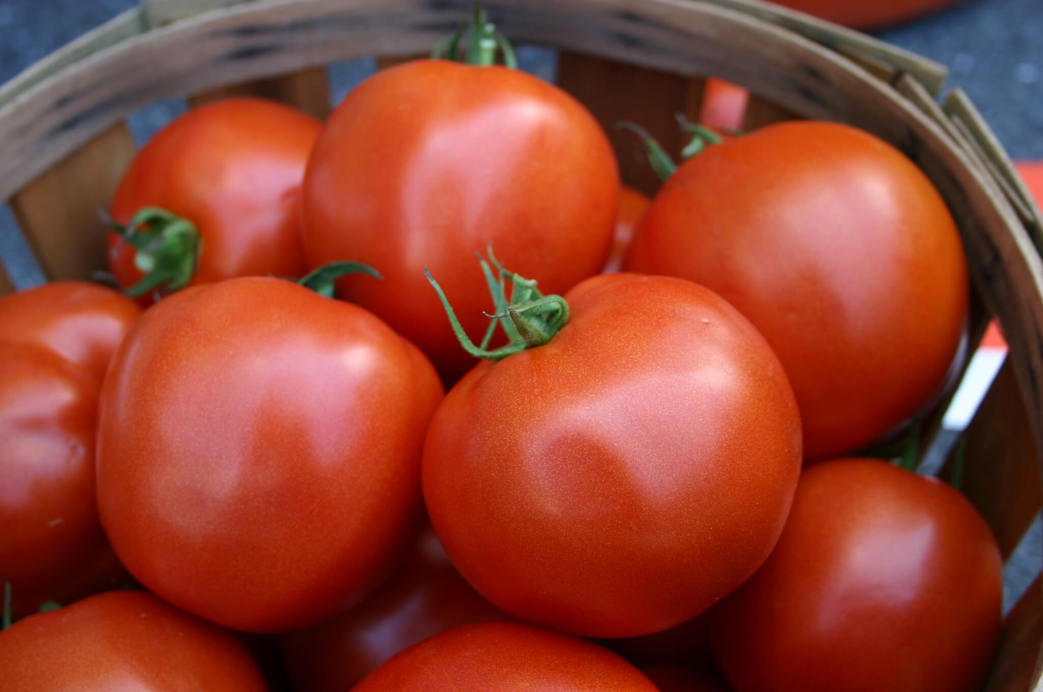 Soraya Tomato (Pelleted)