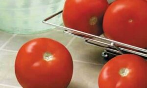 Sebring Tomato (Pelleted)