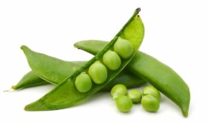 Sugar Sprint Peas (Not Treated)