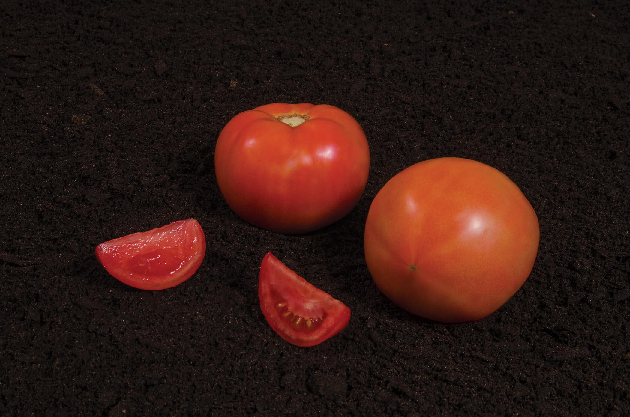 Summerpick Tomato (Pelleted)