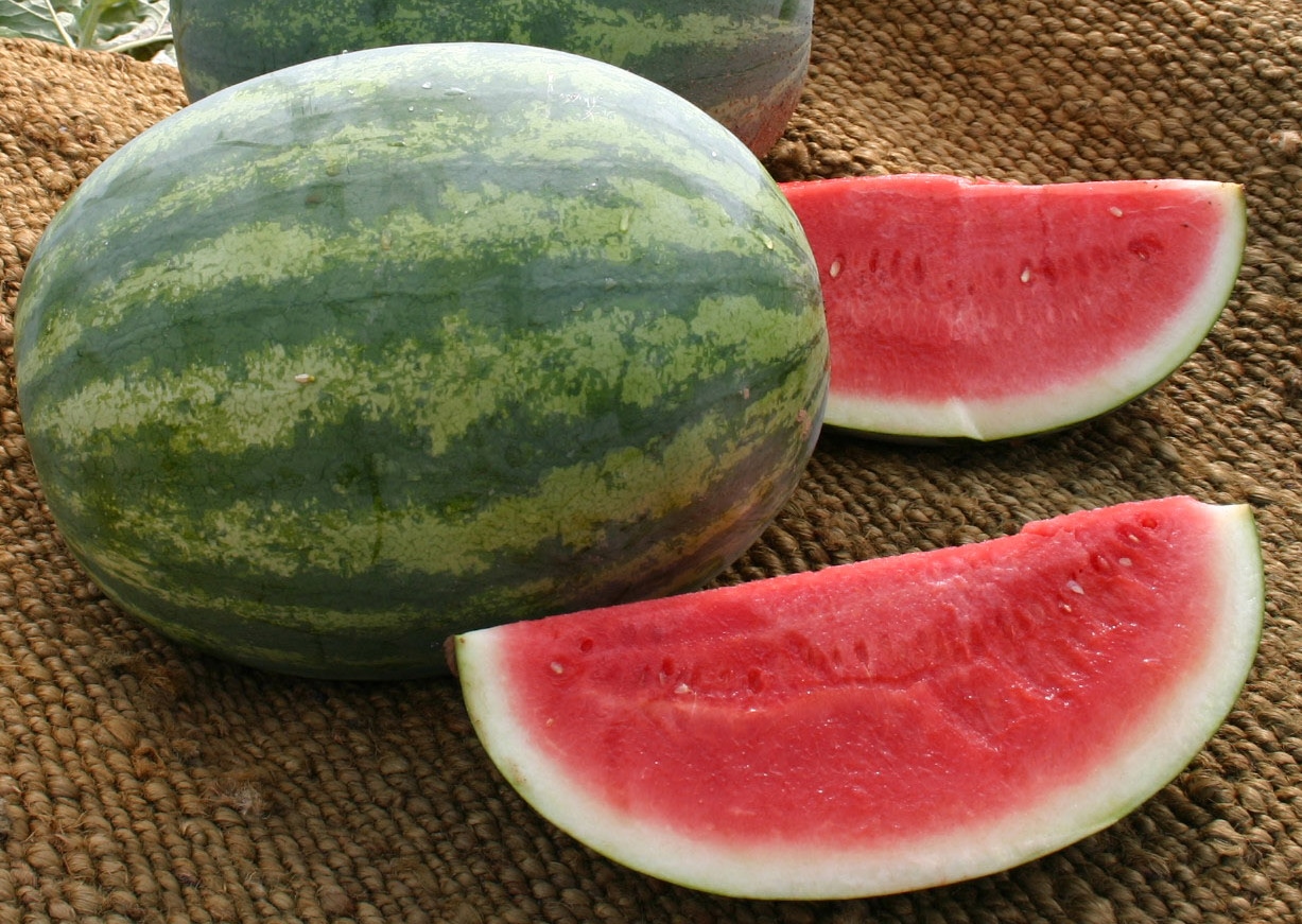 Super Crisp Watermelon (Treated Seed)