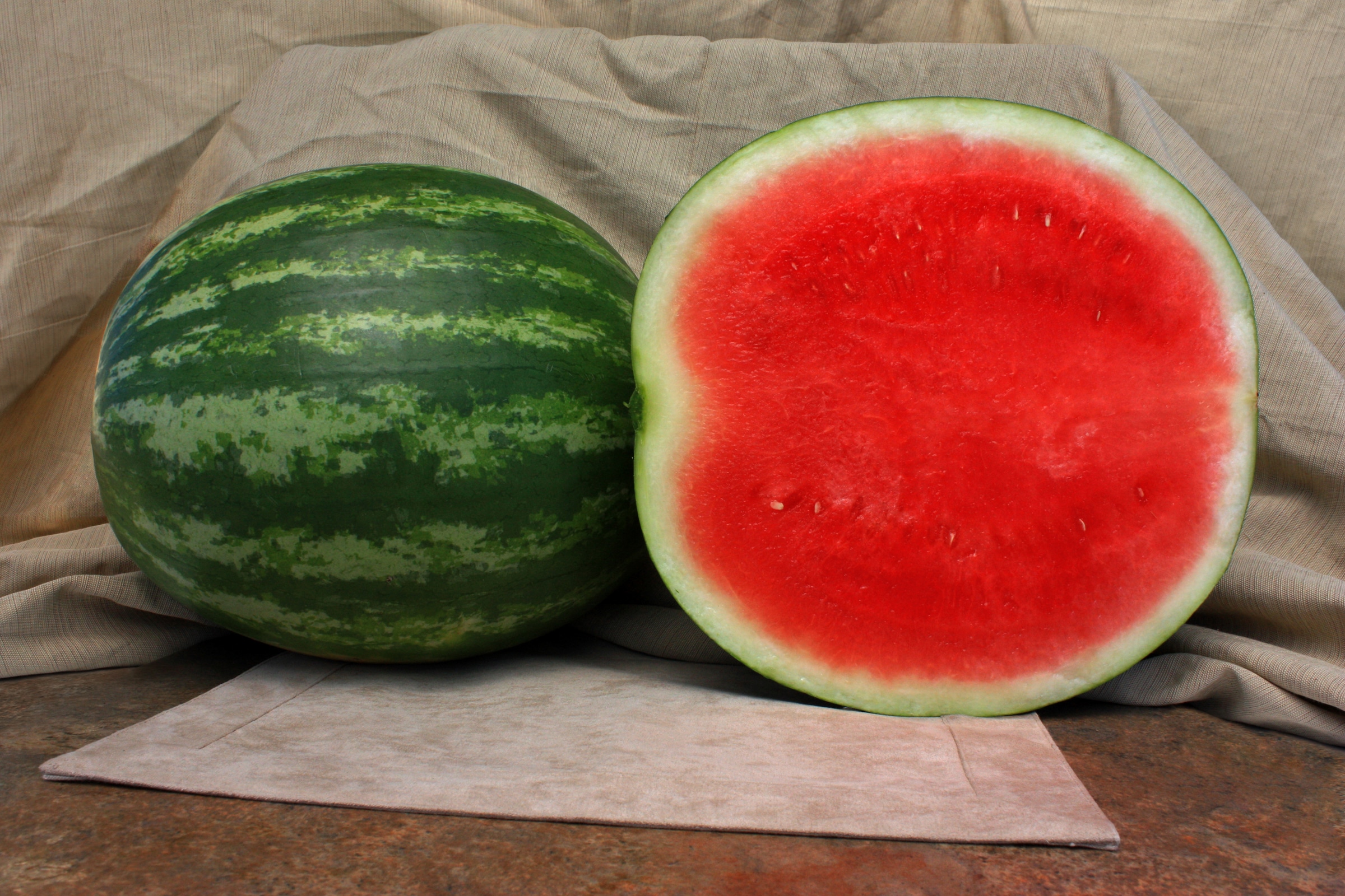 Unbridled Watermelon (Primed) - Image 2