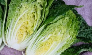 Wawa Tsai Chinese Cabbage (Not Treated)