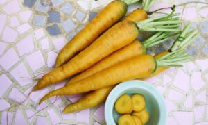 Yellowstone Carrot (Organic)