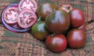 Black Velvet Tomato (Not Treated)