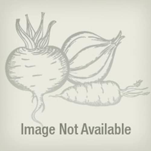 Kentucky Wonder Brown Pole Bean (Treated)