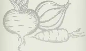 Rebel Radish (Treated Seed)