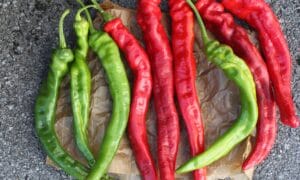 Iberia Cayenne Pepper (Not Treated)