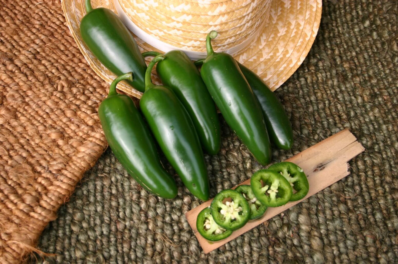 Mammoth Jalapeno Pepper