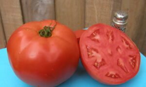 Scarlet Red Tomato (Pelleted)
