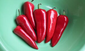 Sweety Sweet Pepper (Treated Seed)