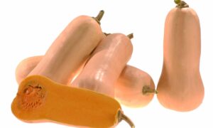 Granite Squash (Farmore)