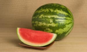 Liberty Watermelon (Not Treated)
