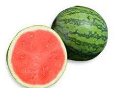 Tigris Watermelon (Treated Seed)