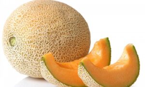 Caribbean King Cantaloupe (Treated Seed)