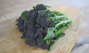 Burgundy Broccoli (Not Treated)