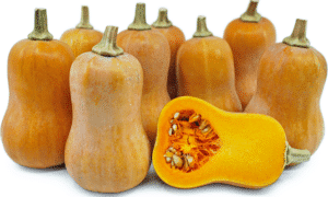 Honeynut Squash (Not Treated)